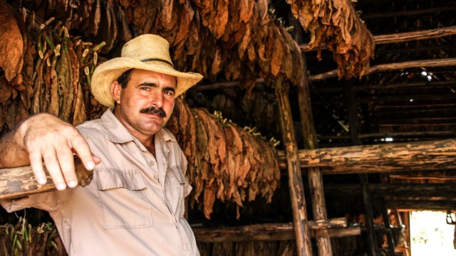 Reformen unter Raúl Castro: Benito Camejo ist Tabakbauer in Vinales.