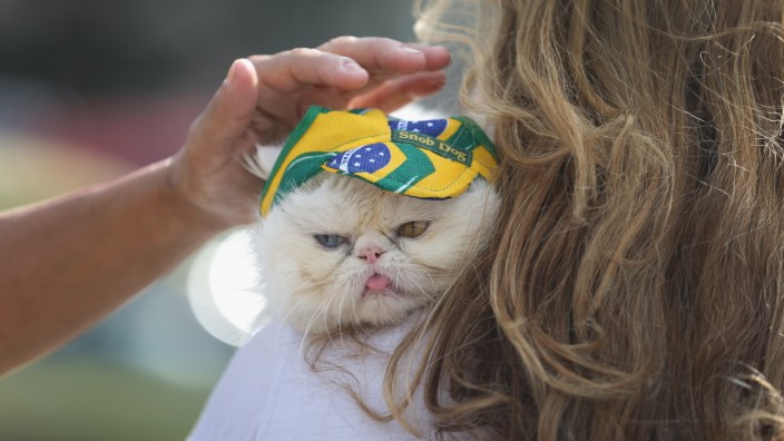 Rio De Janeiro Prepares For The World Cup