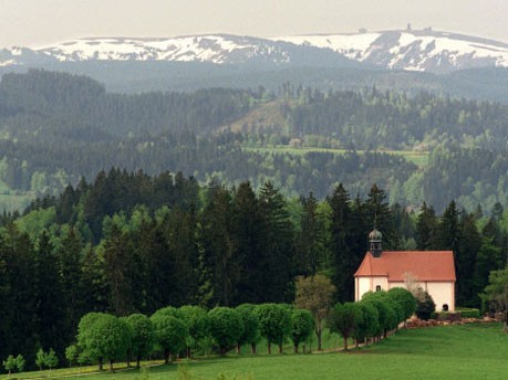Schwarzwald, dpa