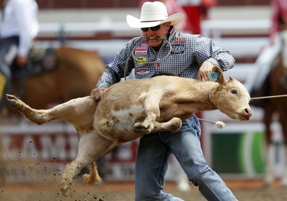 Cooper of Decatur, Texas, flips calf in tie-down roping event during day 1 of rodeo at 102 Calgary Stampede in Calgary.