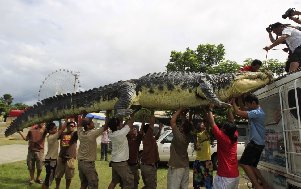 Workers unload 21-foot crocodile robot 'Longlong' from the roof of a van, after it reaches Crocodile Park in Pasay city, metro Manila