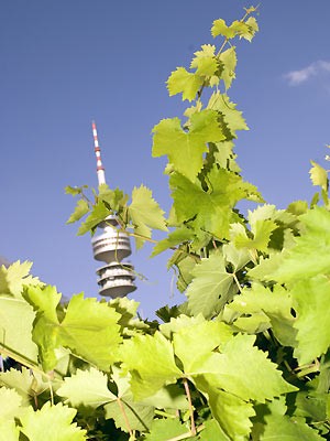 Weinwelt München