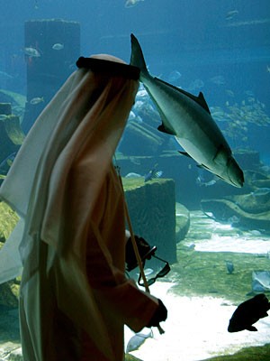 Atlantis, The Palm Dubai, AFP