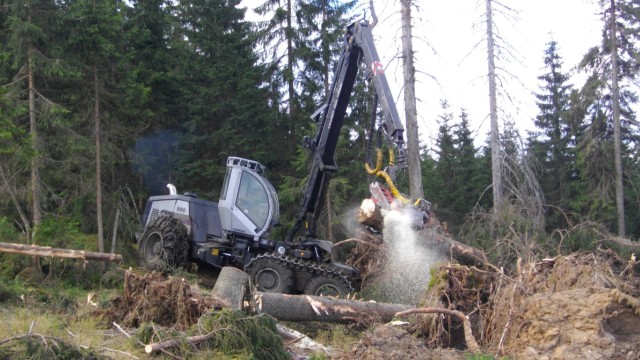 Naturschutz im Bayerischen Wald: Mit schwerem Gerät haben Arbeiter über Jahre hinweg versucht, die Fichtenwälder im Nationalpark Bayerischer Wald vor dem Borkenkäfer zu retten.
