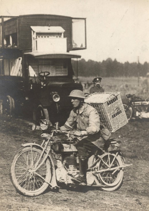 A British soldier rides a motorbike with a basket of pigeons on his back, on his way to delivering them to the frontline on the Western Front