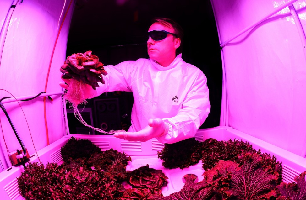 BESTPIX Scientists Hope To Grow Salad In Space