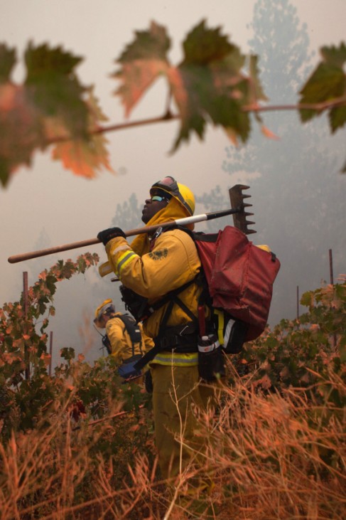 Marin County firefighter Brett Grayson watches out for hotspots in a vineyard, as the 'Sand Fire' burns near Plymouth, California