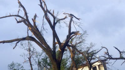Tornado fegt durch die USA: Hinter einem entlaubten Baum ist in der Nähe der Stadt Seneca ein völlig zerstörtes Haus zu sehen.