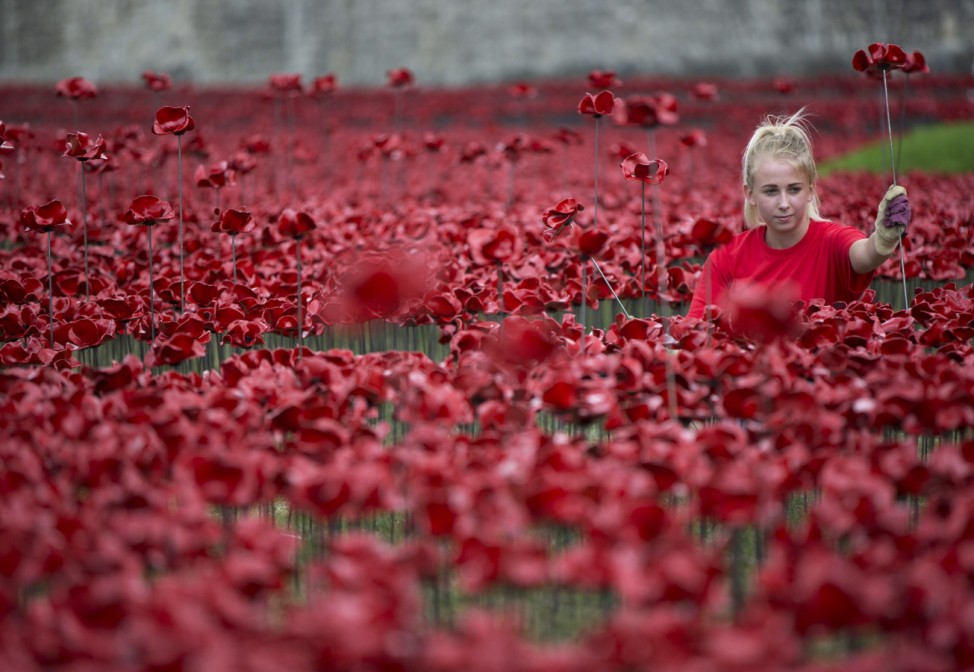A volunteer poses with a ceramic poppy amongst the art installation 'Blood Swept Lands and Seas of Red' marking the anniversary of the World War One at the Tower of London