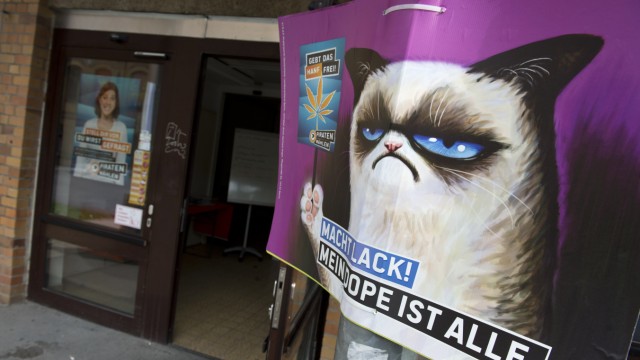 Erfolg von Katzenvideos: "Mein Dope ist alle": Die Piratenpartei plakatiert Grumpy Cat.