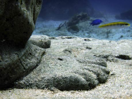 Unterwasser Skulpturen Musem Mexiko Cancun Isla Mujeres Jason de Caires Taylor