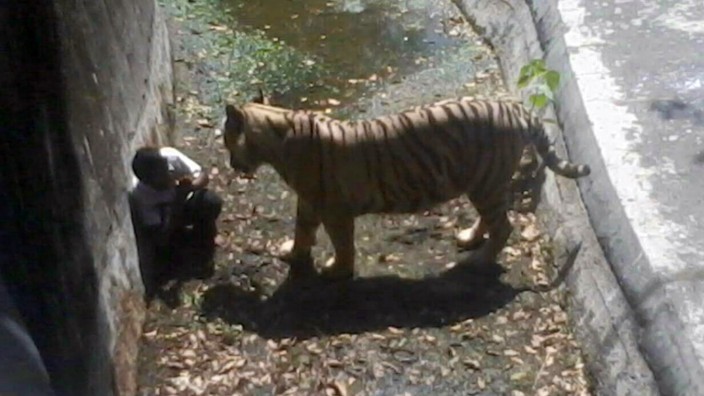 Neu-Delhi: Ein Foto der indischen Polizei zeigt die Szene im Zoo am 23. September 2014.