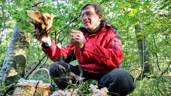 Seltener Fund: In Freising ist Markus Blaschke, hier mit einem Riesenporling im Wald an der Plantage in Freising, vor allem als Schwammerl-Experte bekannt.