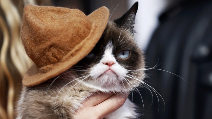 Grumpy cat arrives at the 2014 MTV Movie Awards in Los Angeles