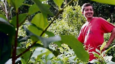 Kolumbien: Für ihre Coca-Plantagen roden die Bauern Regenwald.