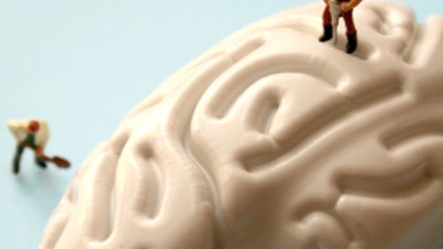 Frage der Woche: Baustelle Gehirn: Lassen sich falsche Erinnerungen in unser Denkorgan einpflanzen?