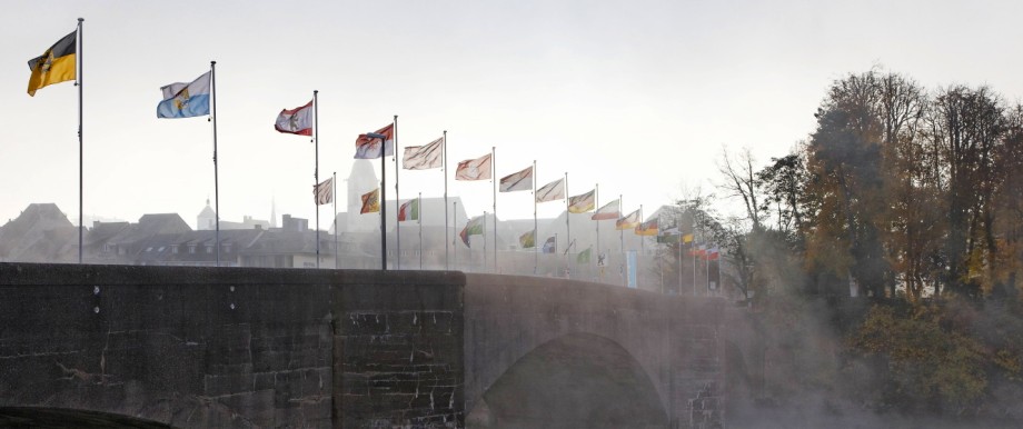 Föderalismus: Die Rheinbrücke im baden-württembergischen Rheinfelden mit den Flaggen der 16 Bundesländer