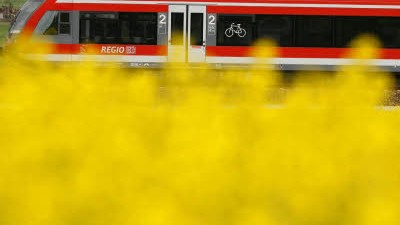 Outsourcing geplant: Eine Regionalbahn der Deutschen Bahn fährt an einem Rapsfeld in Brandenburg vorbei. Das Unternehmen will rund 9000 Beschäftigte in Tochtergesellschaften ausgliedern.