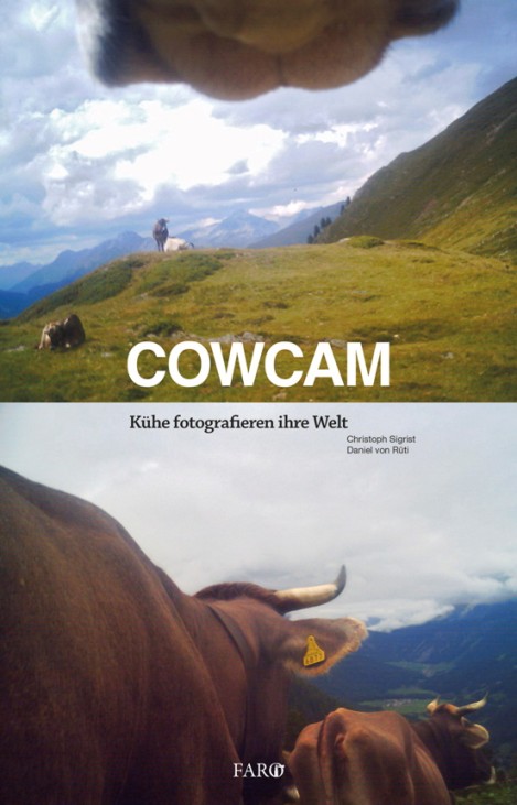 Cowcam Kühe fotografieren ihre Welt Schweiz Alm Rinder
