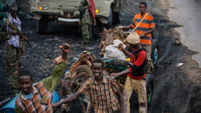 Al-Shabaab-Miliz: Per Eselskarren gelangt die Fracht zum Hafen: Die somalische Kohle wird vor allem von Kismayo aus in Richtung der Golfstaaten verschifft.