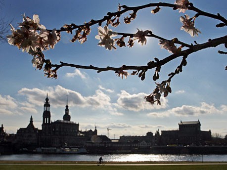 Frühling in Deutschland; Dresden; dpa