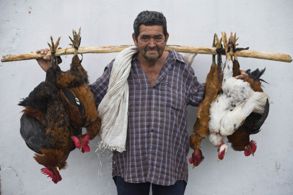 Huhnverkäufer in Honduras