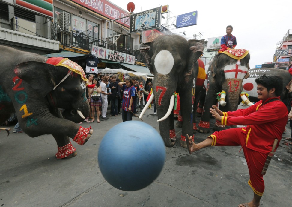 Thai elephants perform during an event to celebrate the FIFA World Cup 2014 at the tourist hub Khao San road in Bangkok, Thailand, 13 June 2014.