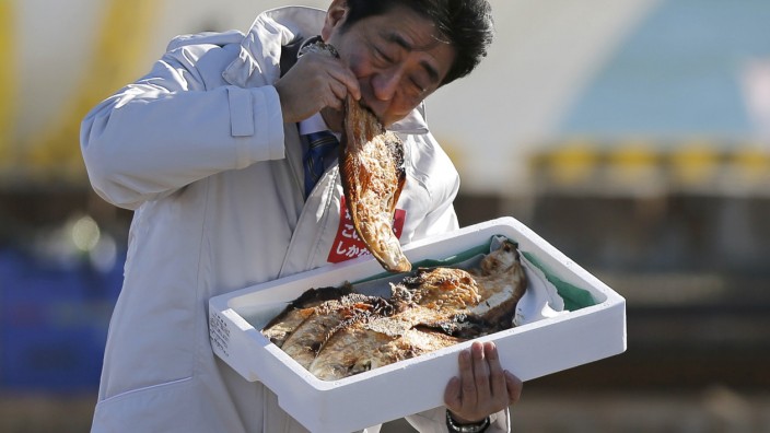 Japan PM Abe eats a local grilled fish during his official campaign kick-off for the Dec 14 lower house election, in Soma