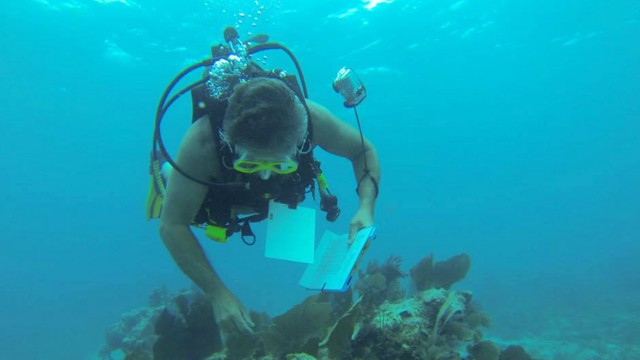 Unterwasser-Rekord in Florida