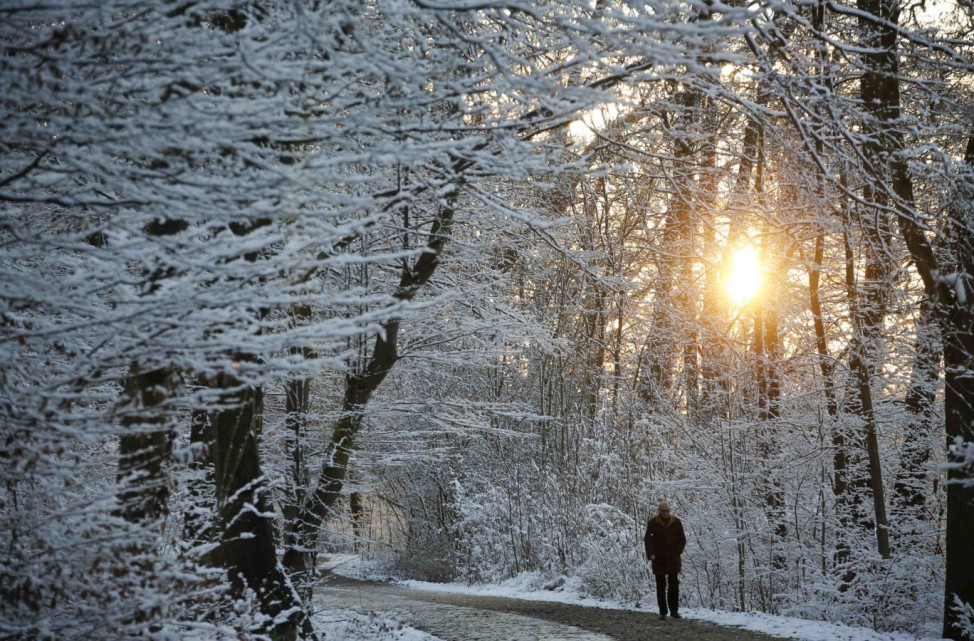Man walks during sunset through the snow-covered Glienicke Palace forest after the first snowfall in Berlin