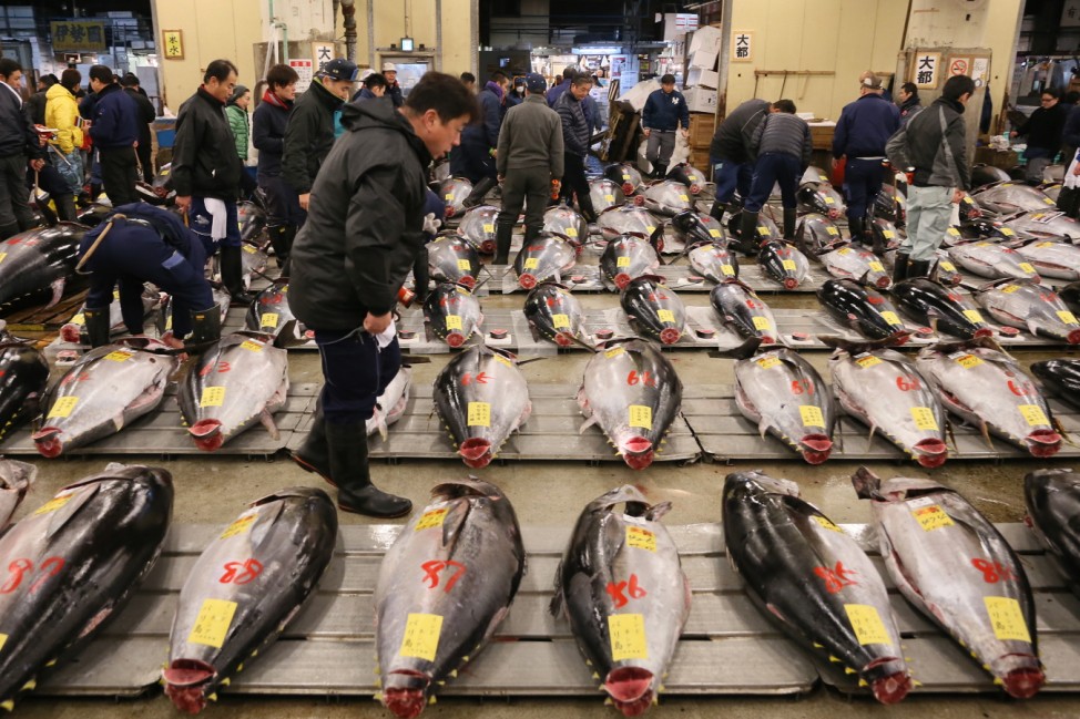 First Auction For 2015 Held At Tsukiji Fish Market