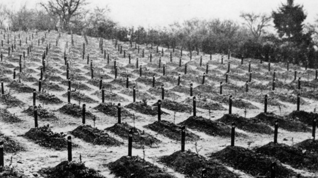 Friedhof von Hadamar, 1945