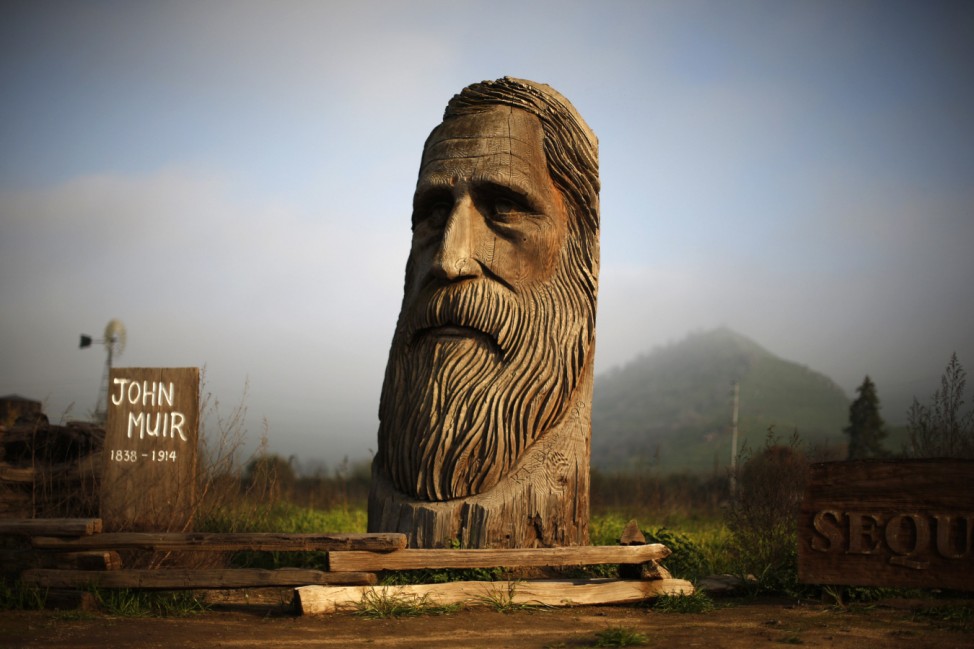 A giant chainsaw carved bust of naturalist John Muir is seen in Lemon Cove near the entrance to Sequoia National Park, California