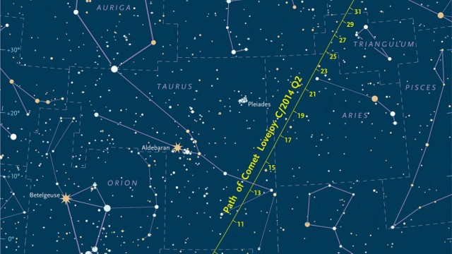 Sternenhimmel: Komet Lovejoy am Nachthimmel