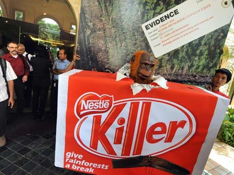 Greenpeace: Süßes von Nestlé bedroht indonesischen Orang-Utan;AFP