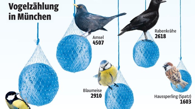Vogelzählung in München: undefined