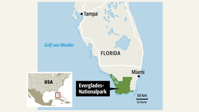 Everglades in Florida: undefined