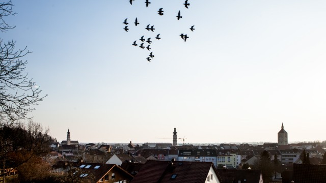Deggendorf, Bürgerentscheid Hochhaus: Nur die Tauben fliegen höher