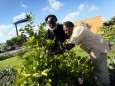 Residents Turn Run Down Miami Block Into Community Garden