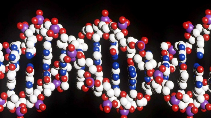 Menschlicher DNA-Strang