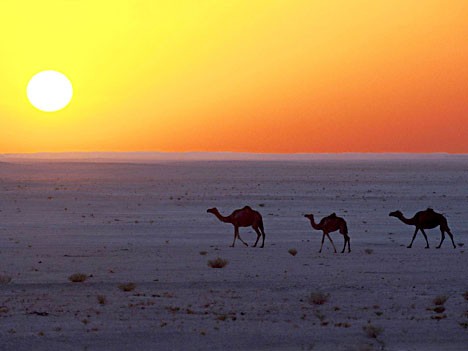 Sonnenuntergang im Sultanat Oman