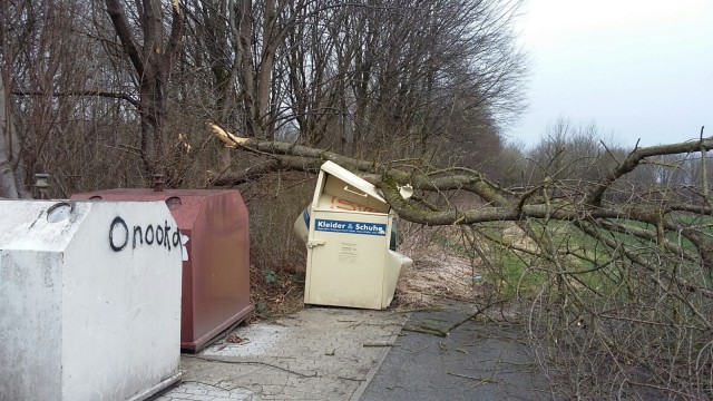 Nach dem Frühjahrsorkan: Mit welcher Wucht ein vom Orkan geknickter Baum umstürzt, zeigt eine Aufnahme vom Containerplatz bei Pretzen, die ein SZ-Leser gemacht hat.