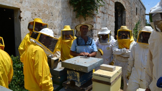 Report: Imker Daniele Greco im hellblauen Hemd erklärt Schülern die Bienenzucht. Der März war ungewöhnlich kalt, die Imker mussten ihre Völker aufpäppeln.
