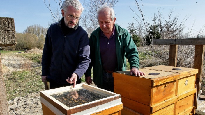 Vorführung in Langenbach: Richard Rossa (links) und Josef Brückl haben den Bienenstock mit einer Sauna ausgestattet. Fünf von 17 Bienenvölker sind an der Varroamilbe gestorben.