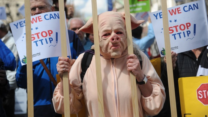 Mangelnde Transparenz bei TTIP: Demonstranten in München protestieren gegen das geplante Abkommen.