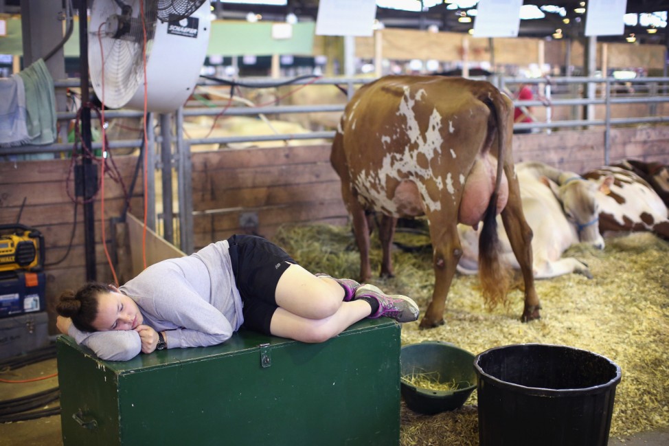 Crowds Flock To Iowa State Fair For A Taste Of Agricultural Bounty
