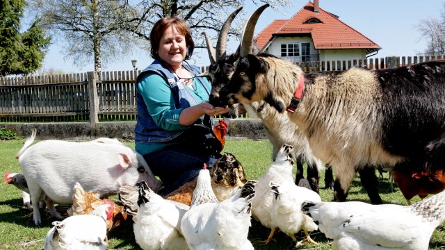 Film-Tier-Ranch in Oberbayern: Renate Hiltl und ein Teil ihrer Tiere.