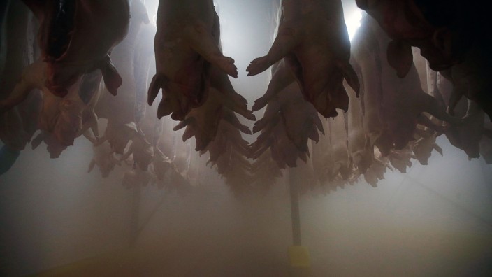 Slaughtered pigs hang inside a cold room at the Santacarnes slaughterhouse in Santarem