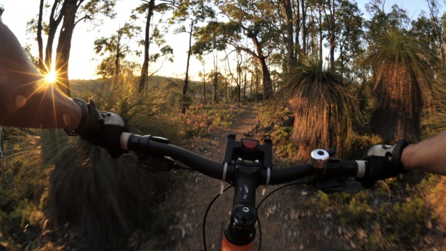 Riding on a single track near Dundalup on a mountain bike tour on the Munda Biddi Trail in Western Australia.