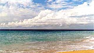 Für jeden Tag einen Strand: Einer der 365 Strände Antiguas ...